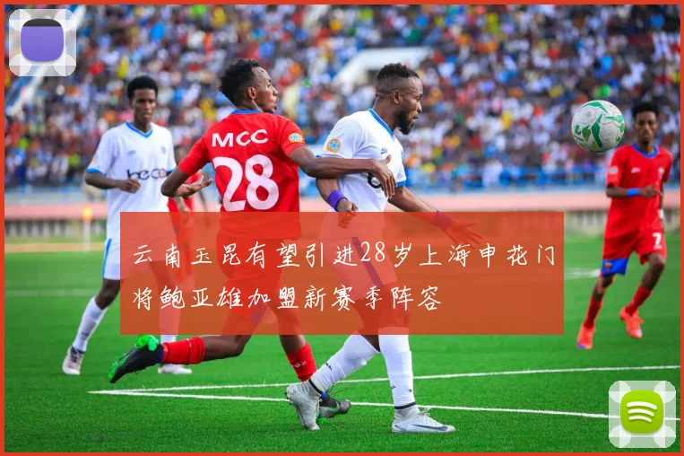 云南玉昆有望引进28岁上海申花门将鲍亚雄加盟新赛季阵容