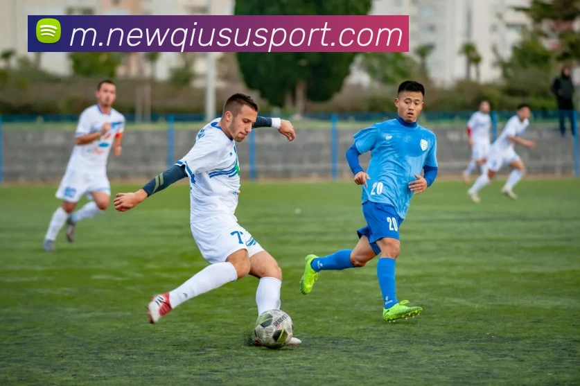 多媒体互动体验